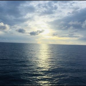 Meet your Posher, Evelyn